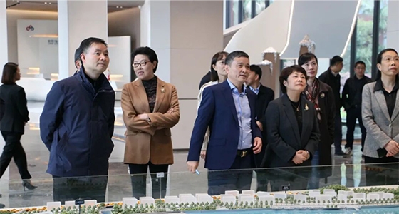 民革中央副主席吴晶调研K8凯发集团